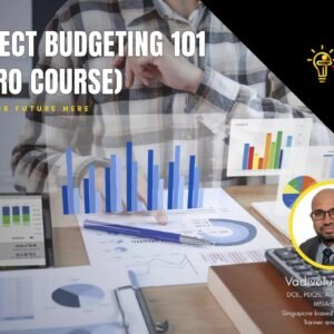 PROJECT BUDGETING 101 (MICRO COURSE)